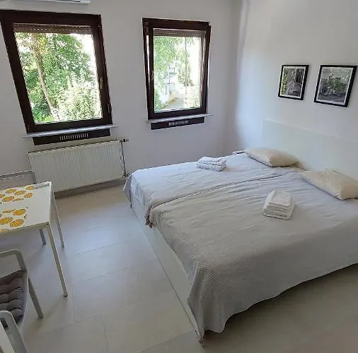 Cozy, Bright And Affordable Studio W/ Free Parking