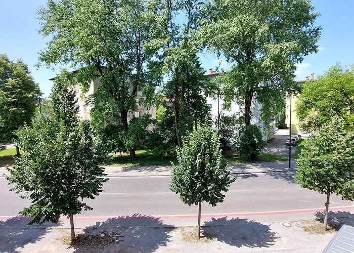 Cozy, Bright And Affordable Studio W/ Free Parking