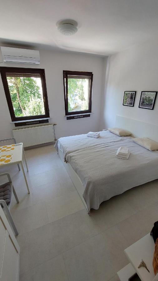 Cozy, Bright And Affordable W/ Free Parking *