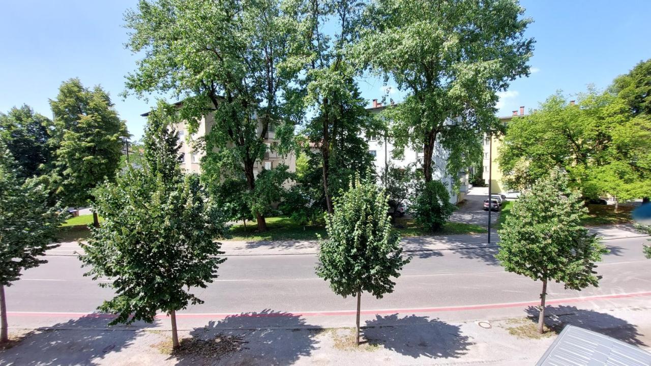 Cozy, Bright And Affordable W/ Free Parking Apartment